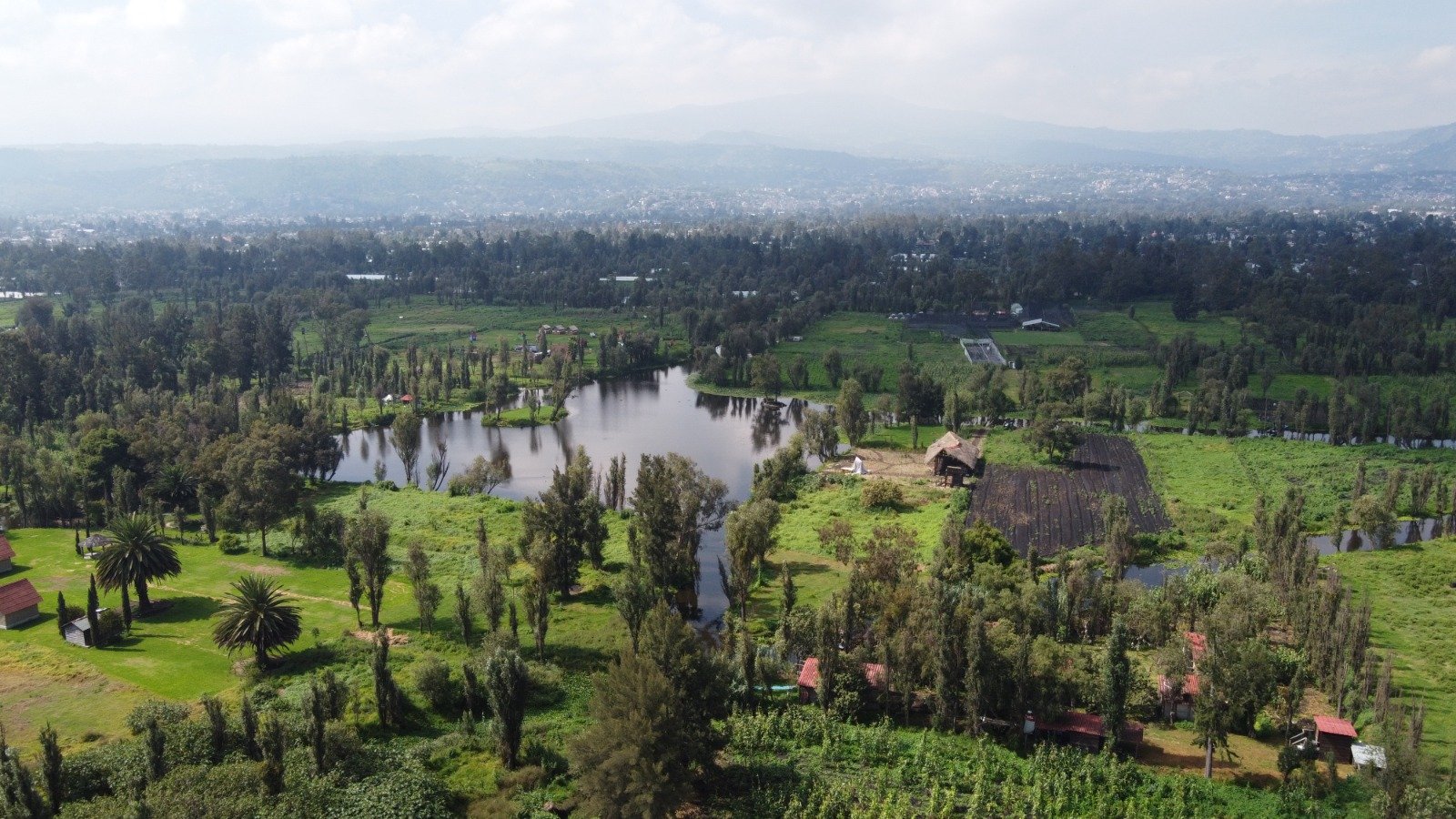 Premio internacional reconoce a CDMX por restauración ambiental y producción alimentaria