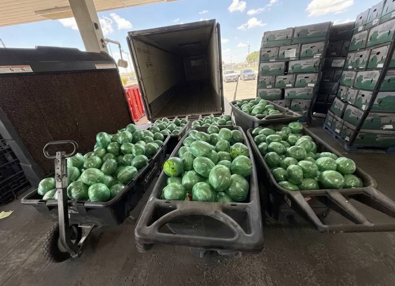 Encuentran metanfetamina escondida entre coles enviadas de México a Texas