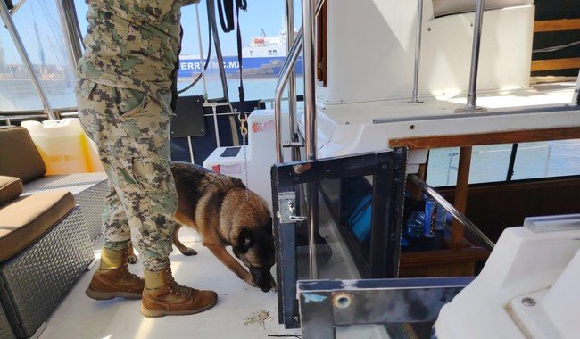 Marina intercepta dos yates y rescata a 45 personas en Ensenada