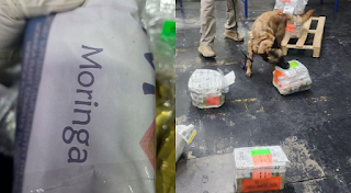 Aseguran en el AICM ocho kilos de polvo con características de hojas de coca procedente de Colombia