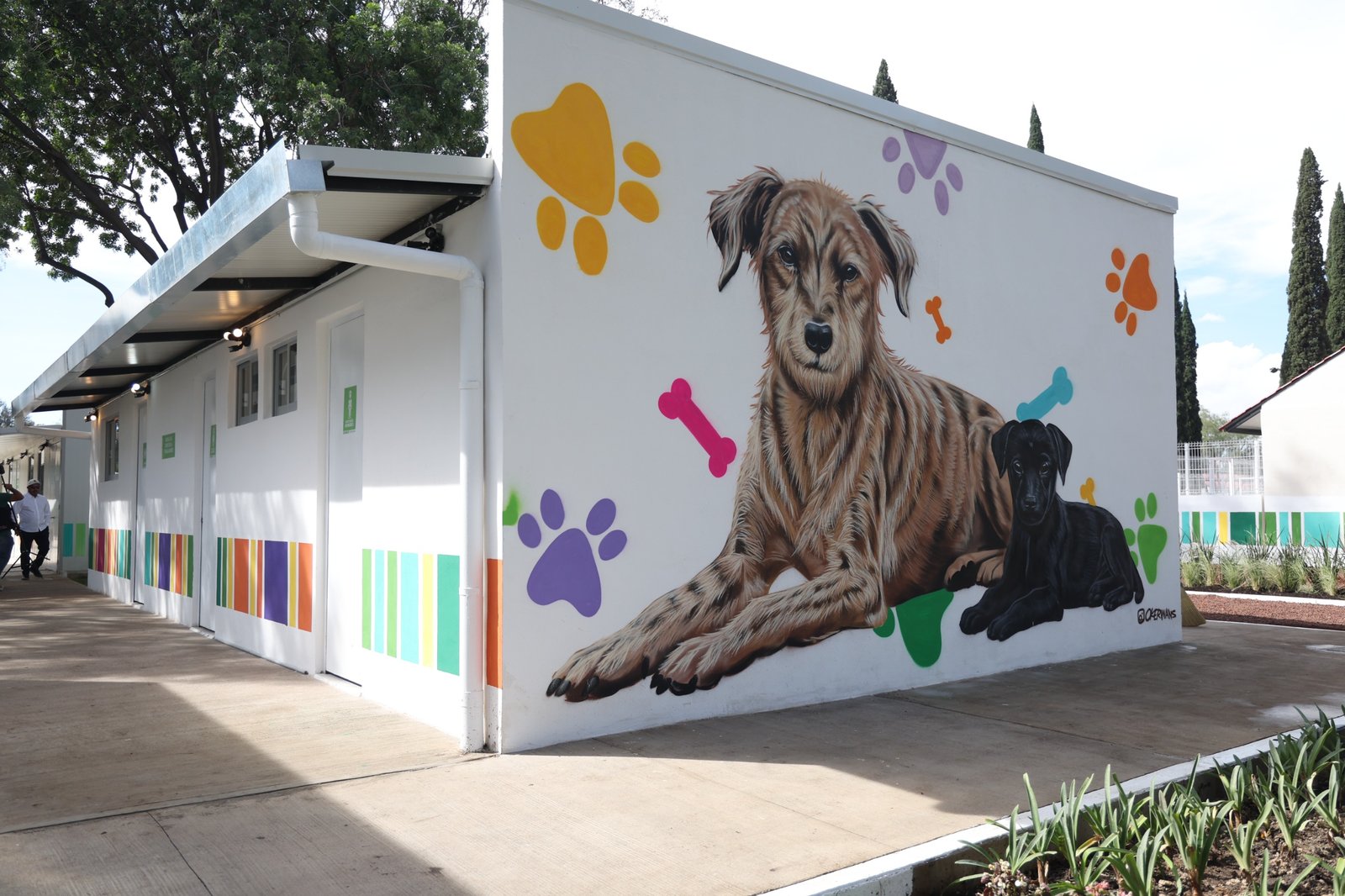 CDMX abre Xólotl, nuevo refugio para más de 600 perros y gatos